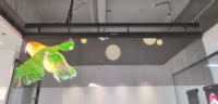 Écran holographique transparent P2.5 avec driver LED intégré pour intérieur, écran LED invisible pour ascenseur, écran holographique couleur intégrale
