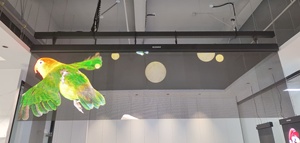 Indoor Integrated LED <strong>Driver</strong> P2.5 Transparent Hologram <strong>Display</strong> Invisible LED Screen with Integrated Holographic Screen - Product Image 6