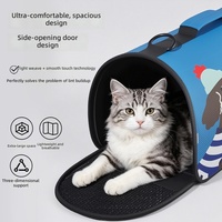 Sac de transport portable en polyester pour chat et chien, respirant, imperméable, à porter à la main