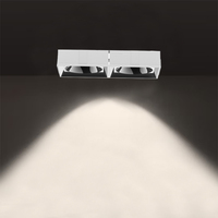 Spot encastré double tête moderne en aluminium, étanche, dimmable, 2*12W LED CRI 90, pour immeuble de bureaux