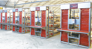 Nuevo Gallinero de 4 Niveles y 4 Puertas para 128 Aves, Acero Galvanizado en Frío Tipo A Yinanchun, Hebei, Garantía de 8 Años, Larga Vida Útil - Product Image 3
