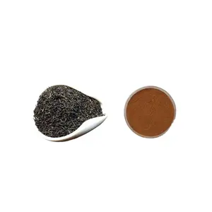 Extrato natural de chá preto em pó Camelia sinensis L CAS 68403-26-8