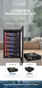 Household ESS Batteries LiFePO4 Inverter Hybrid System 51.2V 100Ah Lithium Ion Battery 5KWh 10KWh 15KWh Solar Battery
