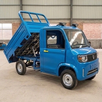 Mini-fourgonnette électrique 2 portes 2 places pour adultes, camionnette de chantier à 4 roues avec batterie au lithium, camion benne électrique