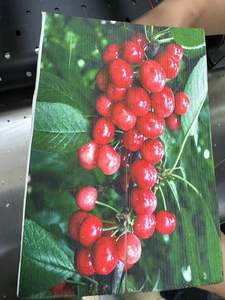 מדפסת מהירה להדפסה במעבר יחיד על קצה הספר, מדפסת הזרקת דיו, מדפסת במעבר יחיד להדפסה על קצה הספר - Product Image 5