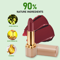 OCHAIN Rouge à lèvres hydratant nude longue tenue, nouvelle conception, imperméable, faible MOQ