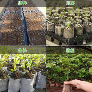 Nhà Máy Vườn Ươm túi không dệt phân hủy sinh học nhà máy phát triển Túi Vải cây giống Starter Túi rau hoa trái cây cây cây - Product Image 6