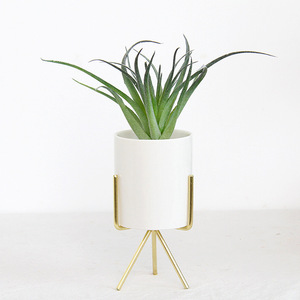Cadre en fer simple porte-fleurs en céramique hydroponique plante verte Ins Style nordique en fer forgé charnu <span class=keywords><strong>Pot</strong></span> de fleur - Product Image 2