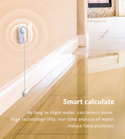 Détecteur de fuite d'eau intelligent sans fil HEYI 2026 HY-31 avec alertes push via application, pour la maison, compatible WIFI, en ABS, anti-vol