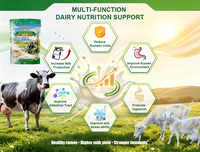 Complément alimentaire premium pour la production laitière, améliore la lactation, pour vaches laitières, chèvres, moutons