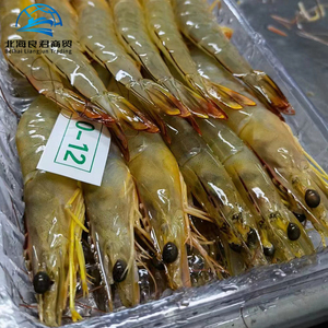 Bán Sỉ Tôm Scampi Tôm Đông Lạnh Chất Lượng Cao Nhân Tạo Giá Tôm Scampi Trắng - Product Image 2