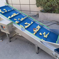 Volautomatische Gemberpoedermachine 300 Kg/u Gemberverwerkingslijn Met Poederverpakkingsmachine