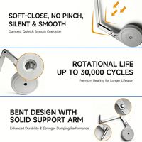 Accessoires de cuisine SH-ABC : Système de levage à ressort à gaz réglable pour portes battantes, fermeture amortie, pour mobilier d'extérieur, finition nickel