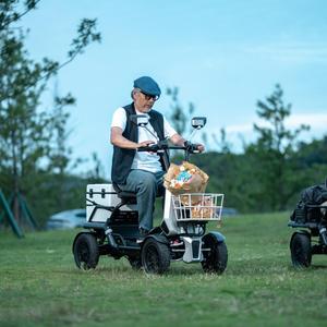 Scooter Eléctrico de 4 Ruedas con Motor Diferencial de 48V 500W y Freno Hidráulico de 13 Pulgadas, Batería de Cambio Rápido, Velocidad Máxima de 25 km/h - Product Image 6