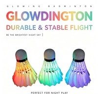 Volant de badminton LED lumineux, coloré, durable, vol stable, jeu nocturne, extérieur, vente en gros, logo personnalisé en usine