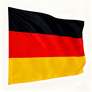 Оптовые индивидуальные национальные флаги различных стран, рекламные флаги компании, Спортивные Флаги, наружные флаги для фестивалей - Product Image 6