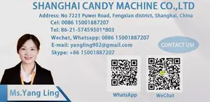 Blocks Gummy Candy Making Machine From Candy Machine Manufacturer