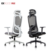 Chaise de bureau ergonomique en maille, pivotante, réglable en hauteur, avec support lombaire, bras inclinables et verrouillables, respirante, pour salle de réunion