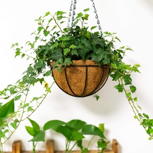 Grande bohémien appeso stuoia di cocco pianta pull <span class=keywords><strong>a</strong></span> <span class=keywords><strong>parete</strong></span> porta acqua per recinzione decorazione confezionata in cartone - Product Image 1