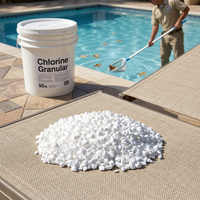 E20260730 Granulés d'entretien de piscine de haute qualité avec une pureté constante de 90 %