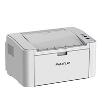 Nouvelle imprimante laser noir et blanc A4 Pantum P2585, interface USB+NET, résolution 600x600 dpi, 21-22 ppm, usage domestique, commercial, bureau