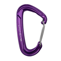 Mousqueton de sécurité professionnel en aluminium en forme de D, 22 kN, pour l'escalade, la montagne, équipement de sécurité robuste, karabiner