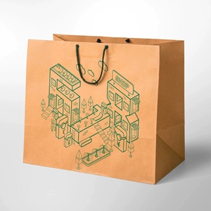 Bolsas de Mano Premium: Recubiertas, de Papel Kraft, Especiales, No Tejidas y de Terciopelo - Product Image 2