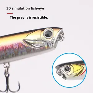 Lápiz flotante <span class=keywords><strong>de</strong></span> fundición larga Minnow Lua señuelo para pesca <span class=keywords><strong>de</strong></span> mar <span class=keywords><strong>de</strong></span> <span class=keywords><strong>agua</strong></span> <span class=keywords><strong>dulce</strong></span> carpa perca trucha bagre lubina <span class=keywords><strong>pez</strong></span> mandarín hecho ABS - Product Image 4