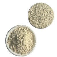 Protéine de levure F80EC, haute satiété, faible en calories, pour les substituts de repas et les produits de gestion du poids