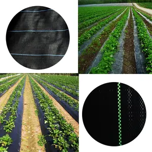 EGP pp tissu répulsif à l'herbe vente en gros de haute qualité tissu de couverture de <span class=keywords><strong>sol</strong></span> tapis de mauvaises herbes - Product Image 6