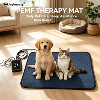 Appareil PEMF certifié CE pour les soins de santé des animaux de compagnie, améliore la mobilité des articulations, améliore la circulation des animaux, dispositif PEMF pour les soins des animaux de compagnie