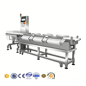 เครื่องคัดแยกน้ำหนักอัตโนมัติสำหรับผลไม้ ผัก มันฝรั่ง มะเขือเทศ - Product Image 2