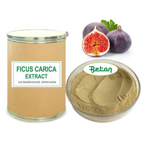 Poudre d'extrait de figue soluble dans l'eau Enzima Ficin 80 000u/g Ficin Extrait de fruit de ficus carica Extrait de feuille de figue en poudre 99% - Product Image 1