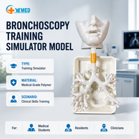 Simulateur de formation en bronchoscopie - Modèle d'arbre bronchique humain pour la formation médicale respiratoire