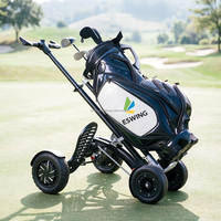 Fabricant OEM de scooters de golf électriques, chariots de golf, buggies de golf, voitures de golf 1600W 48V, fournisseur en gros d'usine d'origine