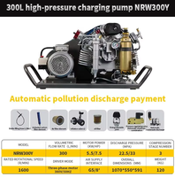 Compresseur d'air respiratoire haute pression TAHU NRW300Y 300L/min 300Bar 4500Psi Norme EN12021 pour la plongée sous-marine et la lutte contre les incendies