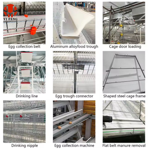 กรงไก่เนื้ออัตโนมัติแบบชุบสังกะสีสำหรับพื้นที่เขตร้อน พร้อมเคลือบกันความชื้นแบบเอเชียตะวันออกเฉียงใต้ และอุปกรณ์ให้อาหารไก่อัตโนมัติ - Product Image 3
