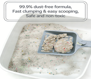 BENJIE工厂批发价5公斤灰色球形0.5-4毫米防臭无尘快速结团高吸附猫砂 - Product Image 2