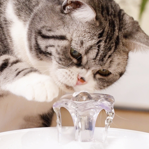 Distributeur d'eau intelligent de luxe pour animaux de compagnie, automatique avec filtre, logo personnalisé, mangeoire de haute qualité pour chien - Product Image 2