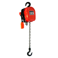 Mini-grue électrique DHS, capacité 1000 kg, treuil à chaîne à levage automatique avec télécommande, tension 220 V, pour garages