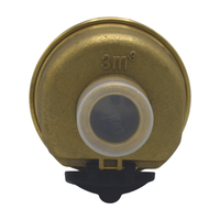 Vertical Volumetric Brass Water Meter OEM Stable Flow Measurement for Residential & Municipal Water Use