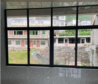 Ventanas y Puertas Corredizas de Aluminio de Bajo Costo, Ventana de Vidrio Templado con Mosquiteras para Casa