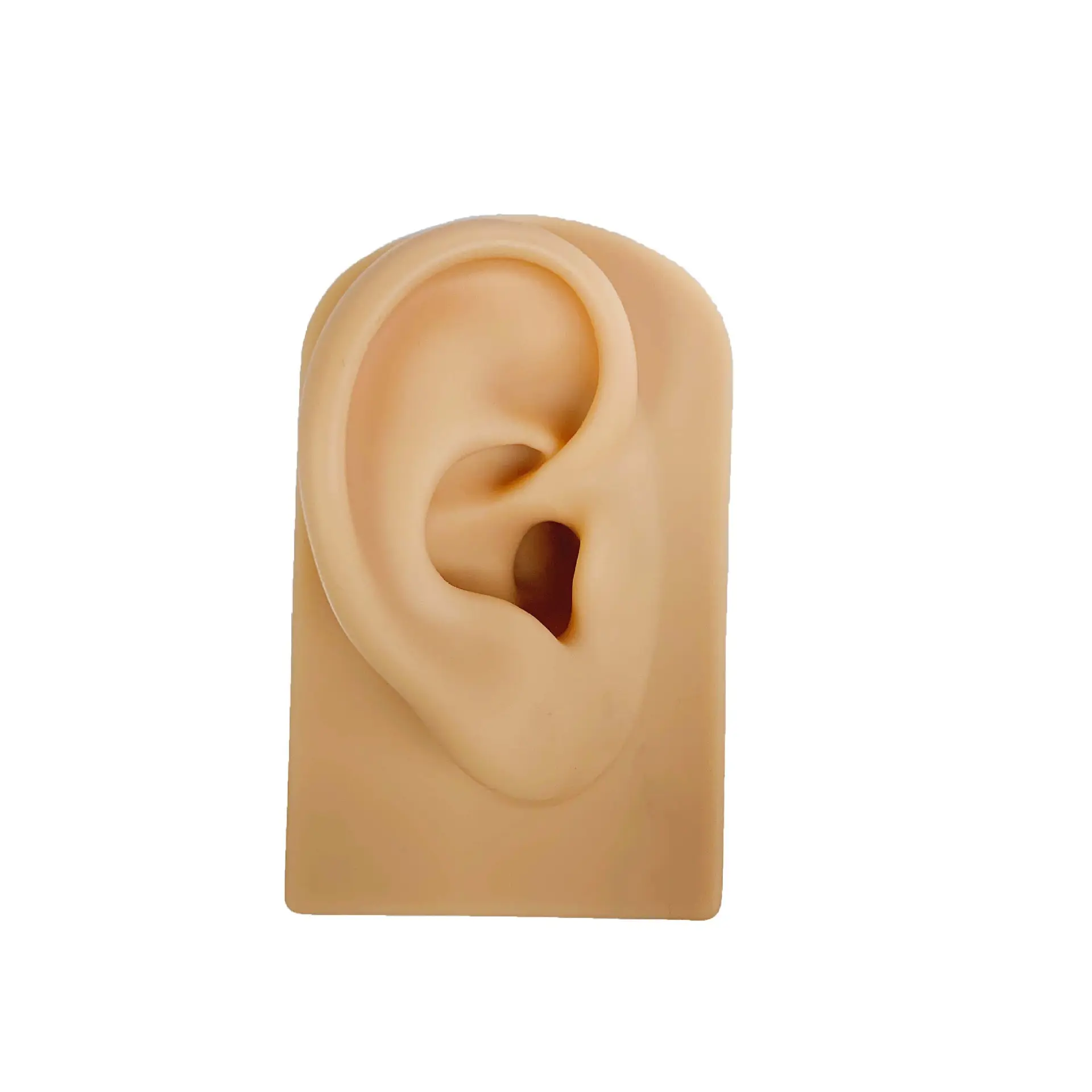 Piercing de barra de orelha, de alta qualidade, modelo de exibição de joias, molde de silicone de orelha