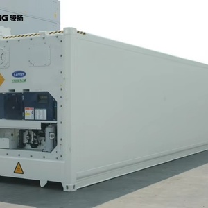 Contenedor Refrigerado de Acero Corten de 40 Pies en Venta en Alemania, Entrega Rápida - Product Image 2