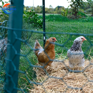 Nhà Máy Giá 1/2 "Mạ Kẽm Lục Giác Gà Dây Sắt Lưới Cuộn PVC Tráng Lục Giác Dây Net Cho Bán - Product Image 5