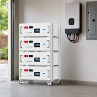 Batterie LiFePO4 DUBAK NEW ENERGY 51.2V 314Ah 16.07KWh, système de stockage d'énergie pour rack de serveur, écran tactile, application, décharge, certifié CE