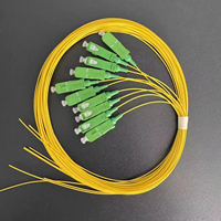 Suministro de fábrica SC APC Cable de conexión de fibra óptica codificado por colores 12 Core SM 0,9mm para empalme de terminación FTTH ODF