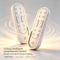 Control Remoto JCXK de 12 Teclas para Lámparas Inteligentes, Controlador de Iluminación Exterior, OEM, ODM, Personalizado