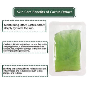 Mascarilla Facial de Tela de Gasa Médica Y573 <span class=keywords><strong>Cactus</strong></span> Water-Gauze, Reparadora, Blanqueadora, Hidratante Profunda, Material de <span class=keywords><strong>Sustrato</strong></span> de Tela Verde - Product Image 3