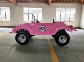 รถสามล้อ KNL SU YANG 1500W รุ่น <span class=keywords><strong>Trike</strong></span> Racing ATV ZTR <span class=keywords><strong>Roadster</strong></span> แบบมีเกียร์ถอยหลัง สำหรับผู้ใหญ่ ขาย - Product Image 5